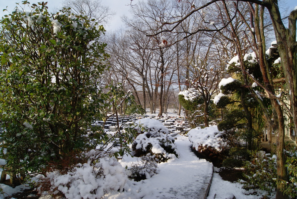 雪景色