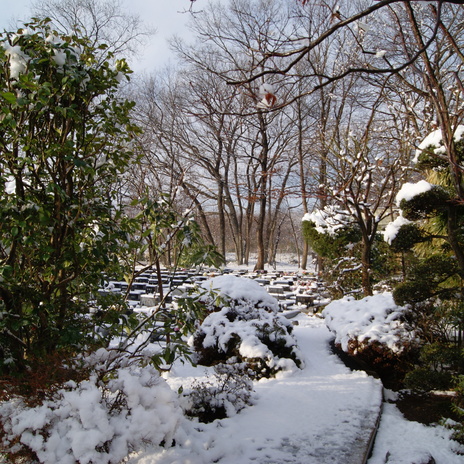 雪景色