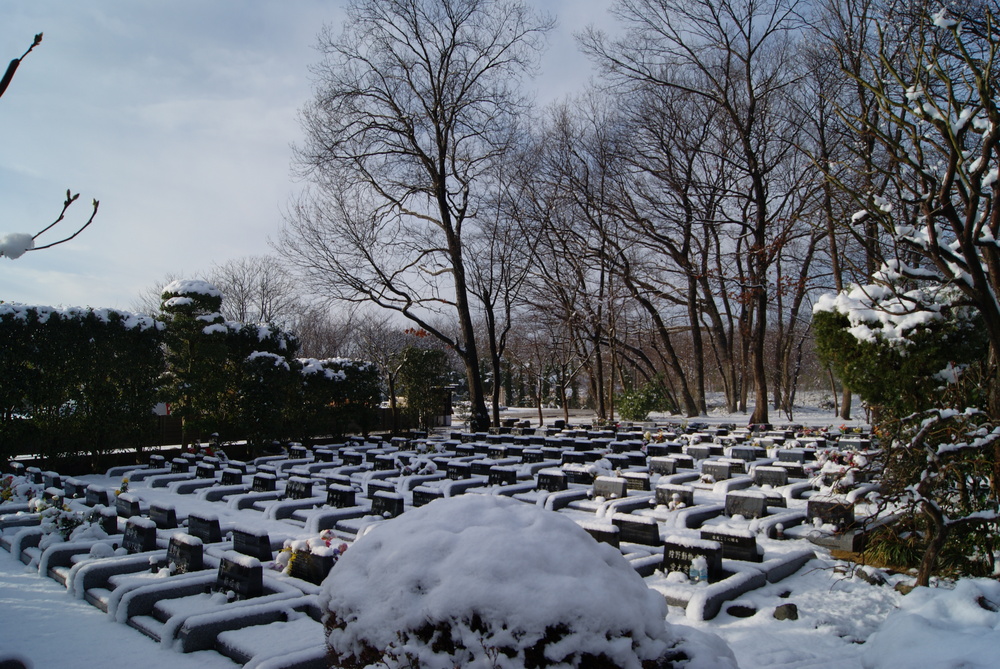 雪景色2