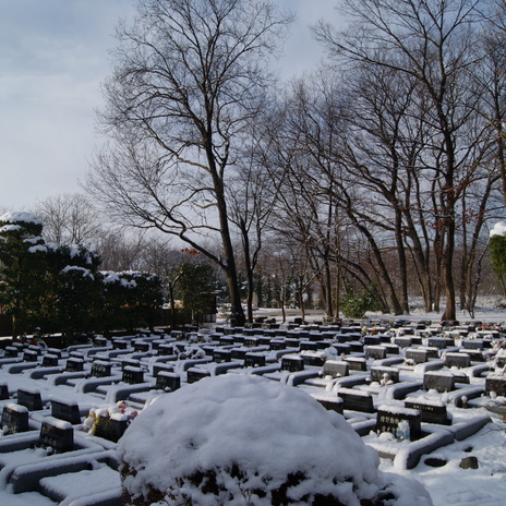 雪景色2