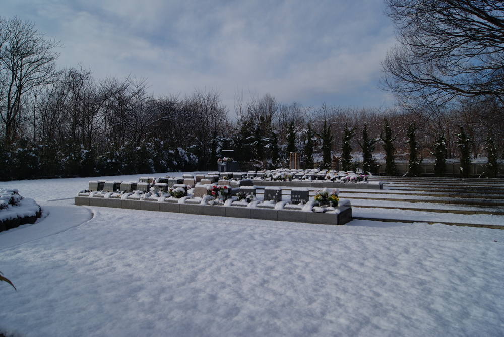 雪景色3