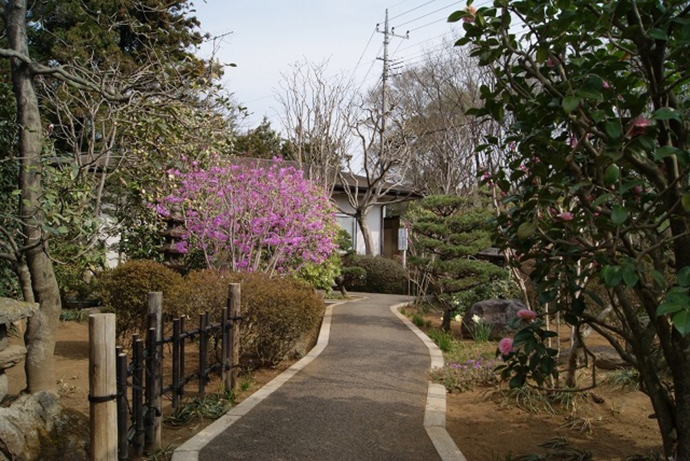 春の風景（2011年）