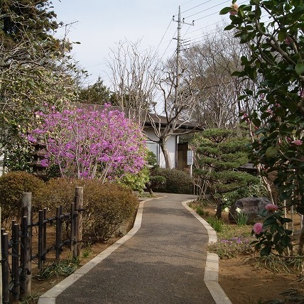 春の風景（2011年）