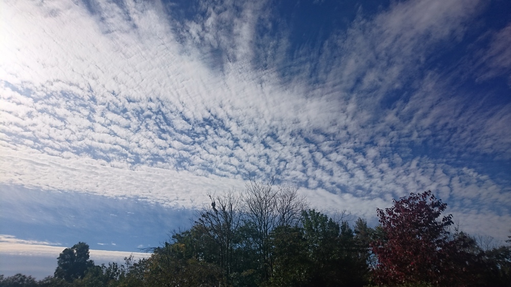 雲 うろこ