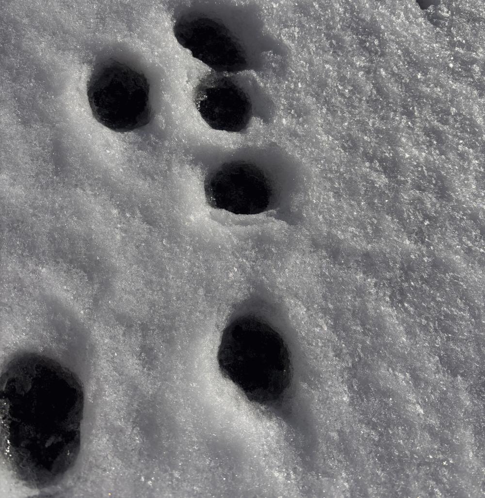 小夏（の、足跡）41