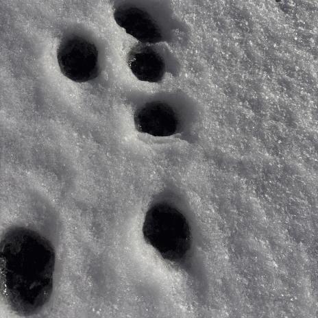 小夏（の、足跡）41